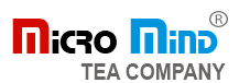 Footer Logo